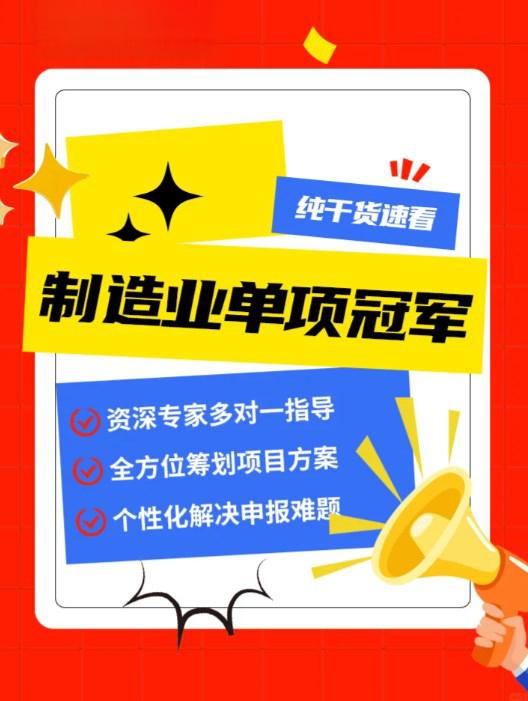 单项冠军申报辅导(单项冠军是什么意思)廊坊市