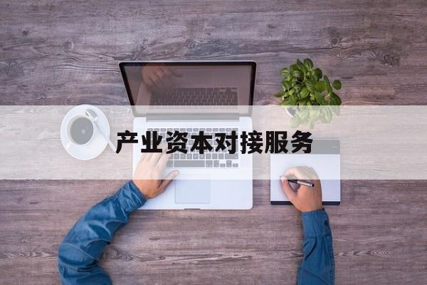 产业资本对接服务(产业资本对接服务包括哪些)廊坊市