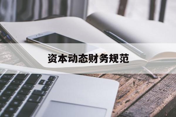 资本动态财务规范(资本动态财务规范是什么)廊坊市